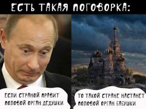 1415547384_putin-07-11-14