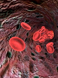 Red Blood Cells